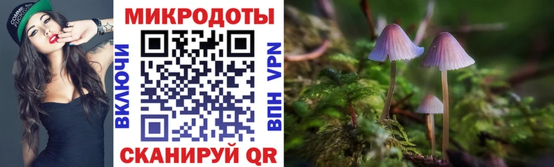Псилоцибиновые грибы MAGIC MUSHROOMS  kraken вход  Белый  хочу наркоту 